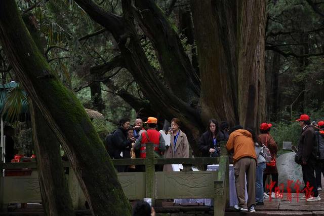 过别样记者节 四川邀记者探访古蜀道的生态密码