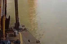 广东东莞一胶水厂火灾引发爆燃巨响，官方通报图片