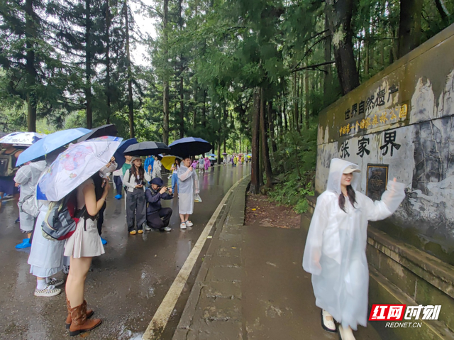 20名重庆网络达人打卡张家界国家森林公园