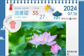温度记｜广东局地以“37℃+”入伏，天气炎热仍有雨水相伴图片