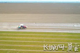 唐山丰润：播种甜玉米图片