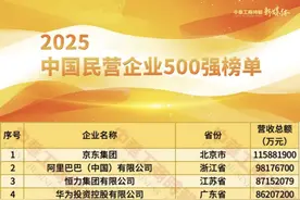 2025中国民营企业500强出炉 卓尔智联居第46位、湖北区域榜首图片