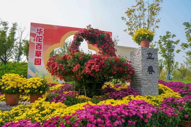 别只惦记红叶了！安徽的秋天，是五彩斑斓的！
