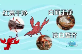 近期即将大量上市！医生提醒：这些部位最好不要吃图片