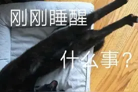 天真冷，小心车上“长”它！图片