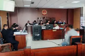 拉网捕鸟，反成“笼中鸟”！山东蒙阴法院公开审理一起刑事附带民事公益诉讼案件图片