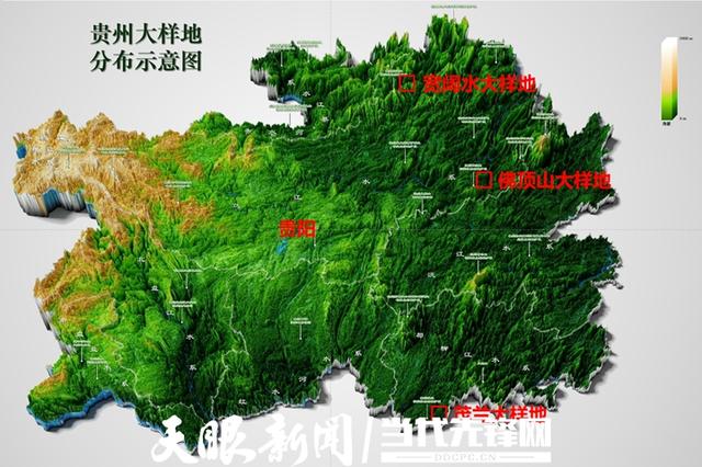 中国森林生物多样性监测网络（CForBio）专家组考察贵州大样地