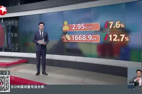 “五一”假期 入境游规模同比增长近八成 外国游客被多项个性化服务“圈粉”视频封面