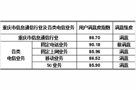 2024年重庆市信息通信行业电信业务总量同比增长10.8%，助力成渝地区双城经济圈建设走深走实图片