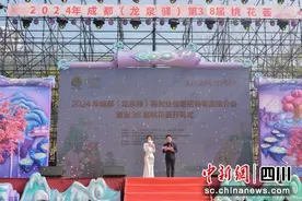 成都龙泉驿第38届桃花荟开幕图片