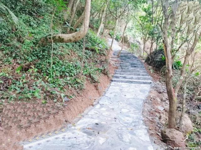 秋日惬意+1！电白“云上南清”上新啦