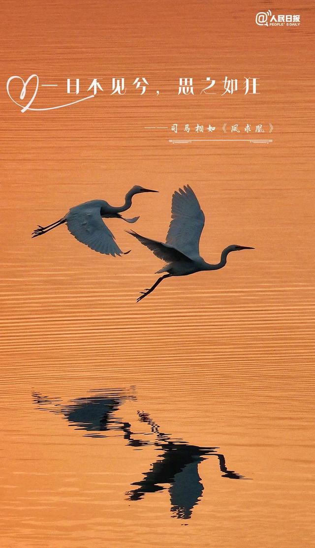 今天七夕节 一起感受中国式浪漫