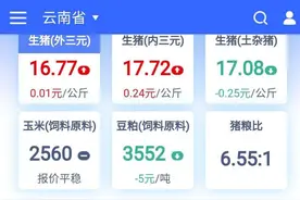 17.72元/公斤！云南生猪价格环比上涨一成图片