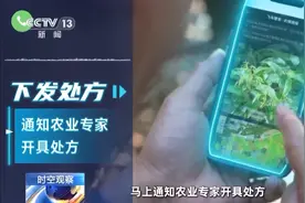 人工智能加速落地 为何却要强调“自立自强”？专家解读→图片