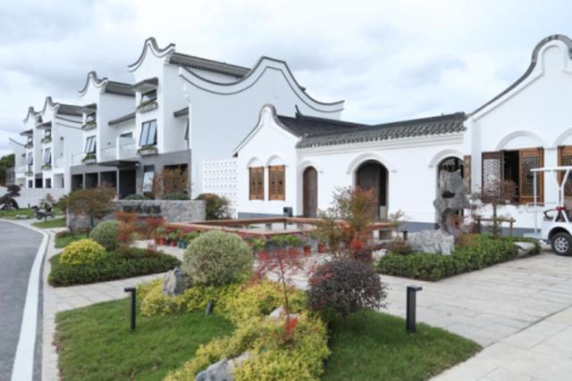 请查收美图！这么美的奉贤，你见过吗？