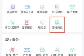 宠物也能坐高铁了！身材有要求，看护有专人图片