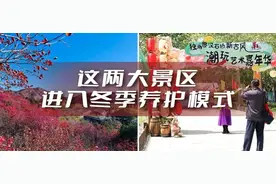下周起，顺义这两大景区开始闭园养护图片