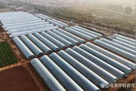 这个春天，从平谷“农业大观园”开始~图片