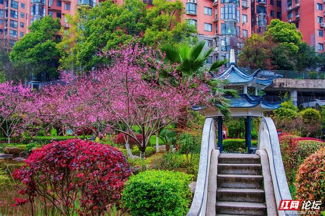 【赴春之约】株洲烈士纪念园：不只有庄严，还有被春天灌满的温柔