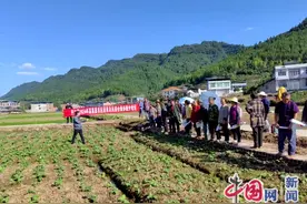 开江县永兴镇万亩沃野绘丰景图片
