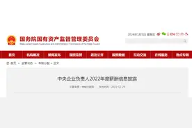 央企一把手年薪有多少？国资委公布“工资条”图片