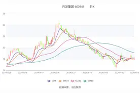 兴发集团：2024年上半年净利润8.05亿元 同比增长29.85%图片