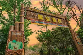 五一银基奇妙游：星空露营×夜探猛兽！家庭套票立省200+图片