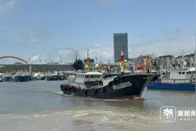 潮新闻直击东海“小开渔”首日：舟山渔港千帆竞发，第一网鲜甜在路上了图片