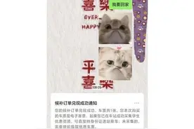 极目视评∣旅客抢票“妙招”迭出，铁路部门出票也该妙招迭出图片