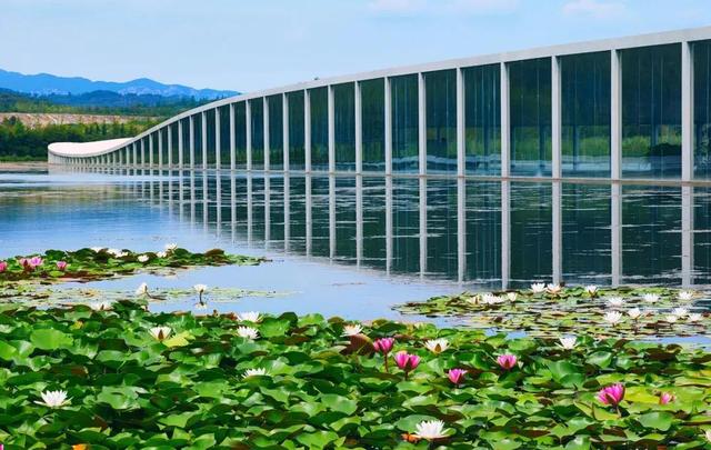 快来打卡！在日照，遇见“煤”好！