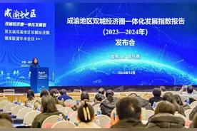 9个分指数全部实现增长 成渝地区双城经济圈一体化发展“成绩单”出炉图片