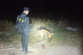 四姐弟与父母起争执离家出走，民警找到时他们正在芦苇丛中酣睡图片