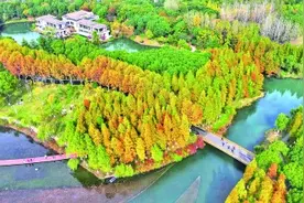 图片报道图片