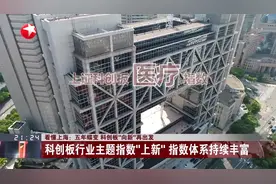 看懂上海：五年蝶变 科创板“向新”再出发视频封面