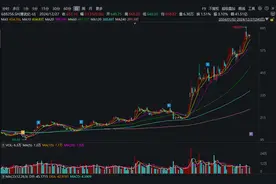 83个涨停、12倍涨幅……十大“牛股”都有谁？｜回望2024⑮图片
