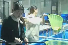 全国超六成锦鲤来自这里！搭上电商快车，小村庄“水里淘金”图片