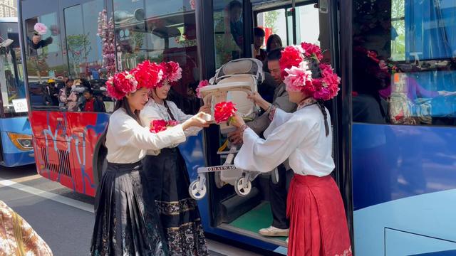 80辆牡丹主题公交出圈！菏泽最美的风景不仅是牡丹，更是这座城市的诚意与温度