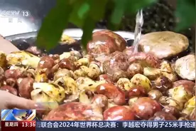 山林→海洋→舌尖 解锁我国粮食安全的“隐藏菜单”图片