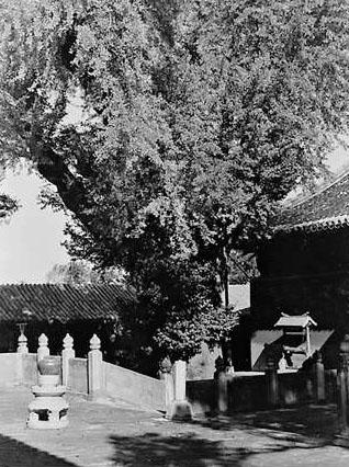 旧京图说｜京西大觉寺：历经千年风雨，古木参天、清泉环绕