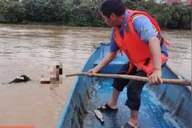 暖心！大学生落水环卫工人紧急施救图片