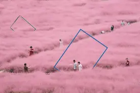 身在远方，心在潍坊！等你回家图片