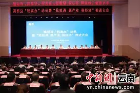 昆明市嵩明县持续深化“轻嵩办”服务品牌 助推县域产业升级图片