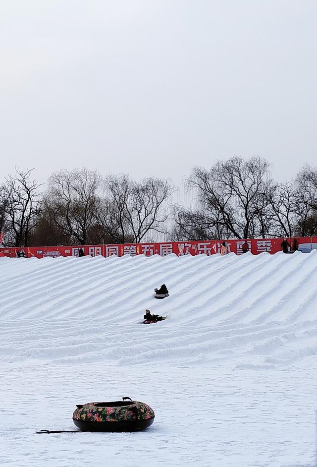 喜迎2026第一场雪，圆明园美出新高度