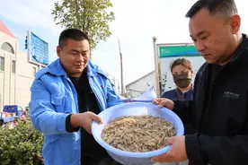 沾化区滨海镇：打鱼摸虾 捞金有法图片