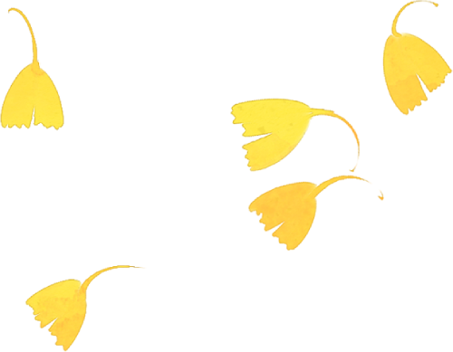 听，呼和浩特秋天的BGM正在你耳边播放