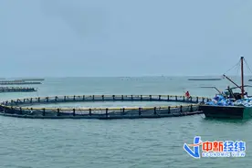 监控牧场每条鱼、护航千年荔枝树……保险风险减量覆盖新领域图片