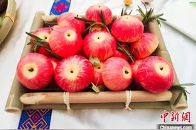 广西职校师生制作象形面点栩栩如生图片