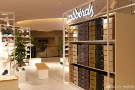 硅谷新贵掉队，百丽接手Allbirds中国经营权图片