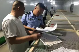 四川广汉八旬老人被毒蛇咬伤后续：五步蛇血清有效，但“真凶”或是原矛头蝮图片