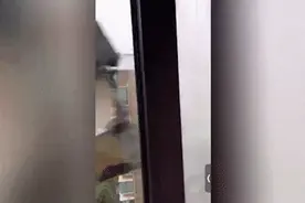 心有余悸！上海男子台风天在家带娃，突然听到“砰”的一声图片